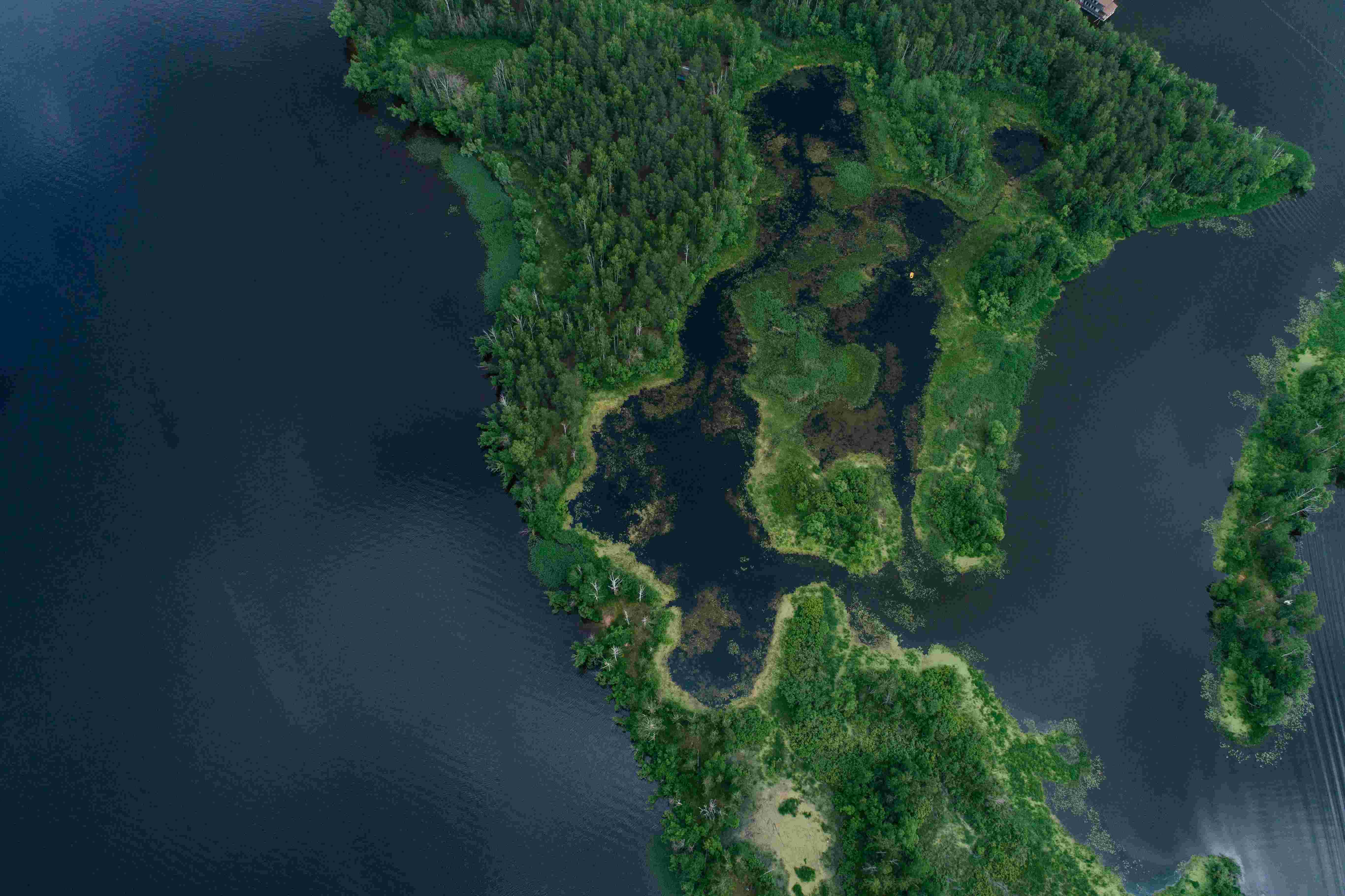 NoWashProtecting the Planet Through Water Conservation